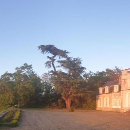 Chateau De Colliers Muides-sur-Loire Exterior foto
