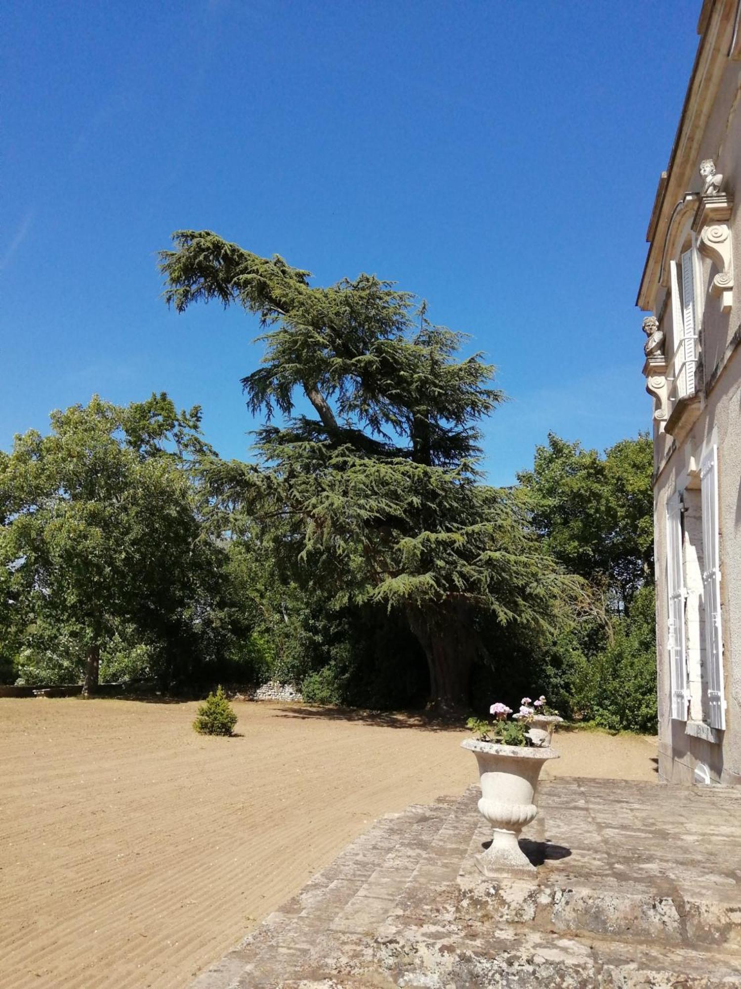 Chateau De Colliers Muides-sur-Loire Habitación foto