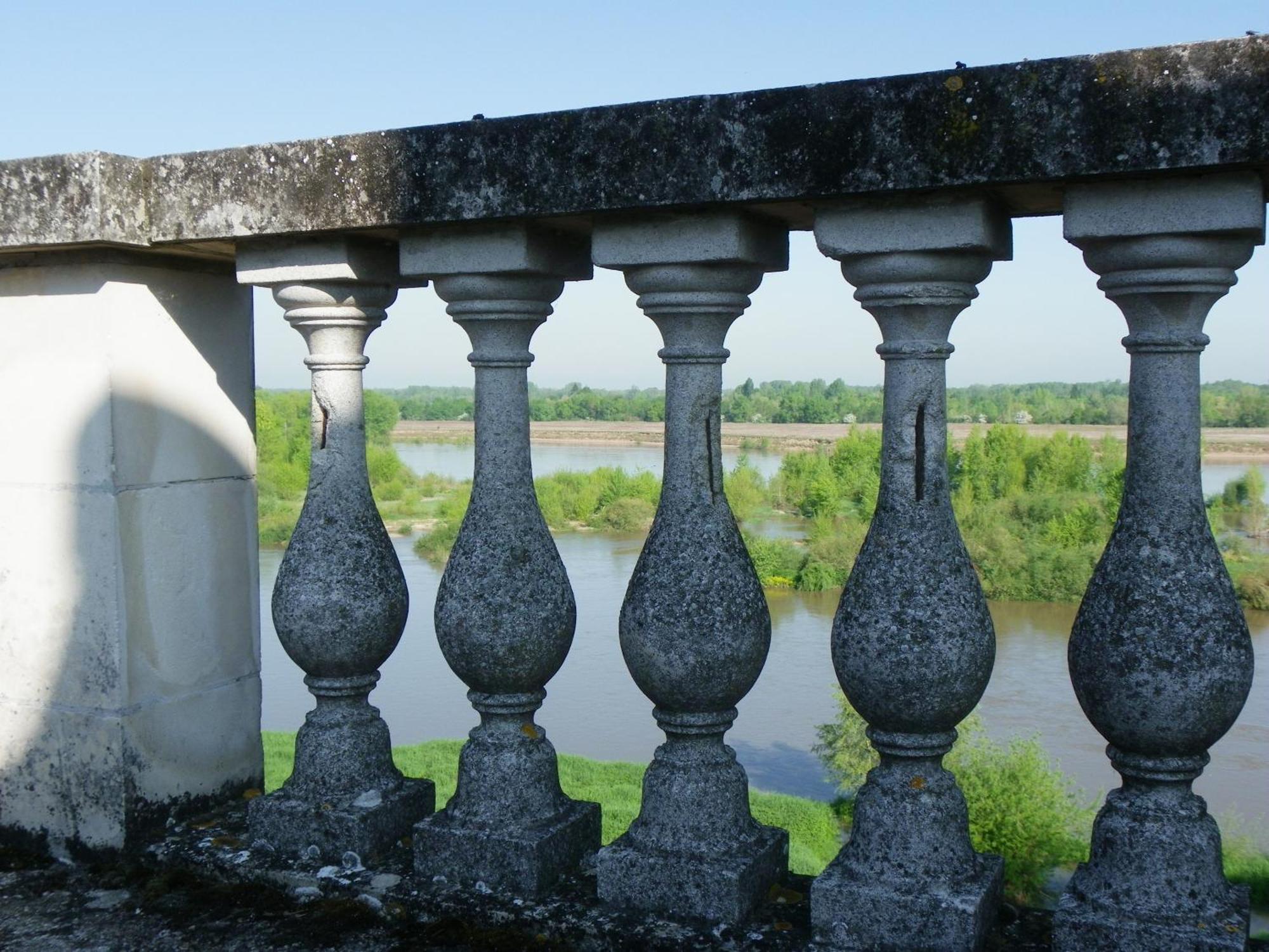 Chateau De Colliers Muides-sur-Loire Habitación foto