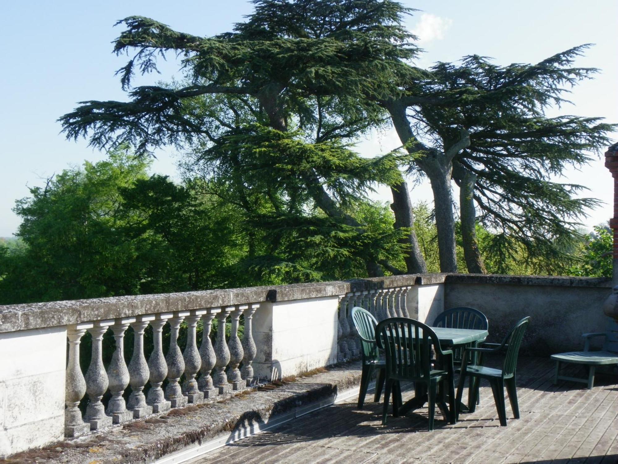 Chateau De Colliers Muides-sur-Loire Habitación foto