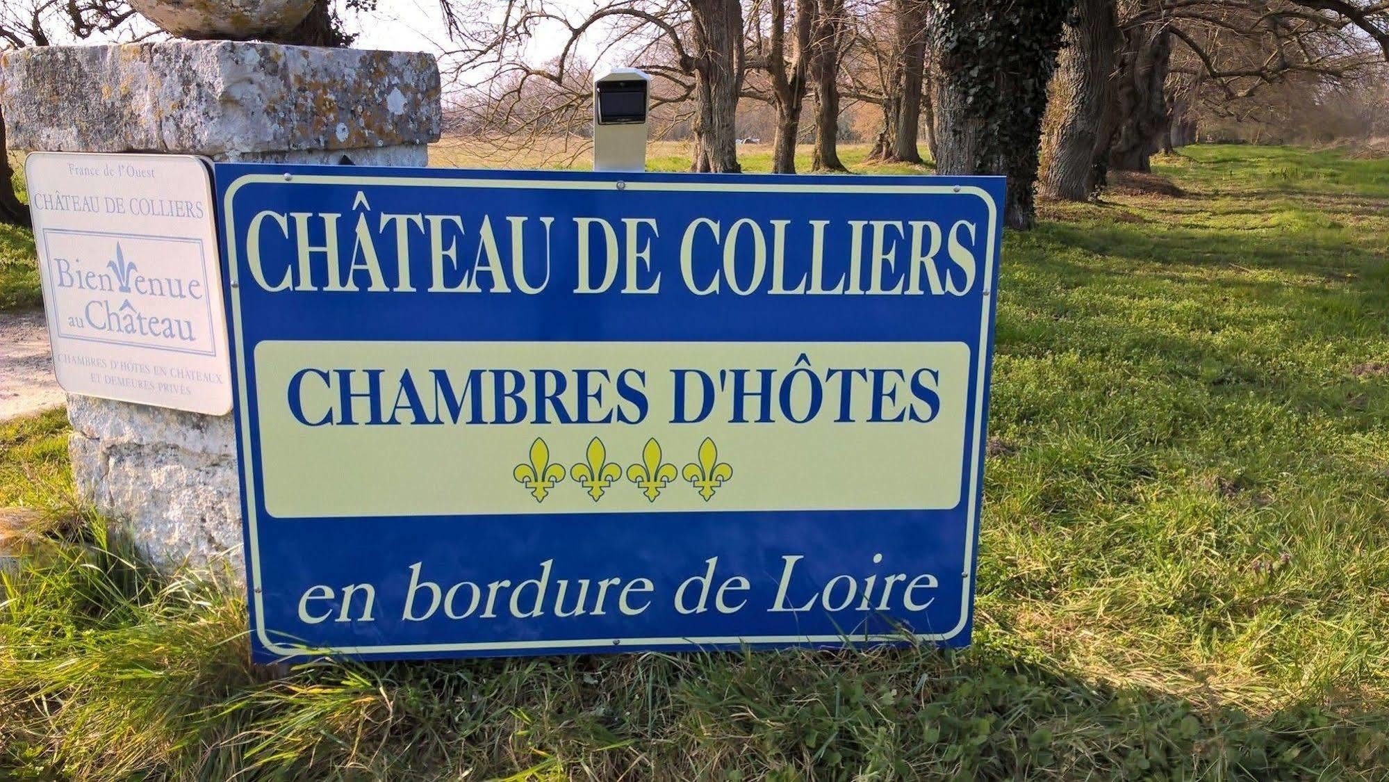 Chateau De Colliers Muides-sur-Loire Exterior foto